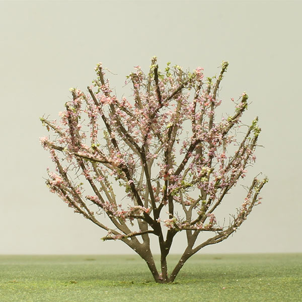 Judas tree model tree