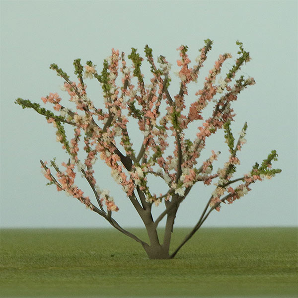 Forest pansy model tree