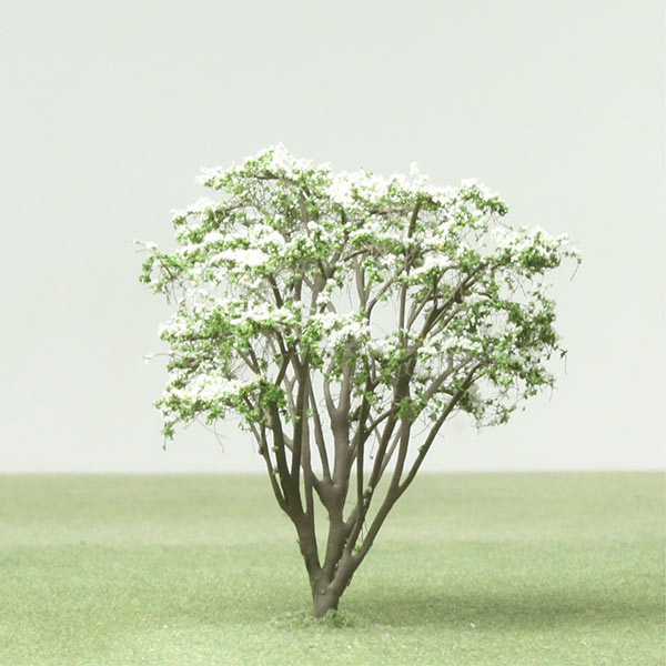 Japanese flowering dogwood model tree