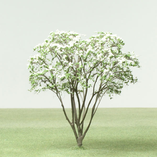 Model Dogwood trees