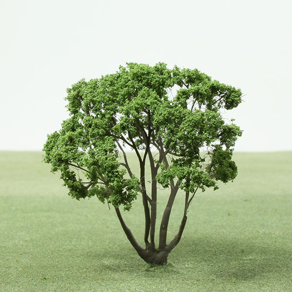 Cornelian cherry dogwood model tree