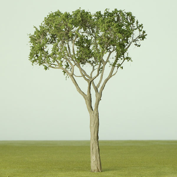 Bloodwood model tree