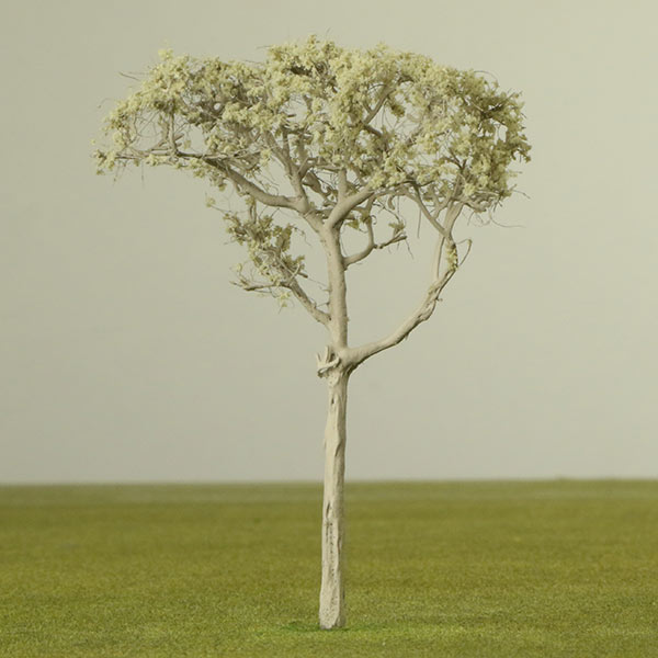 Eucalyptus model tree