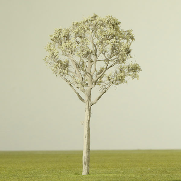 Eucalyptus model tree