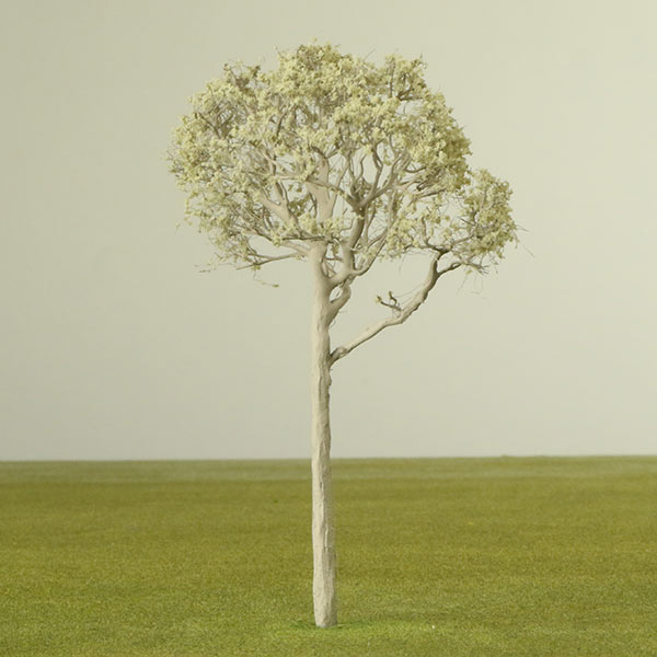 Eucalyptus model tree