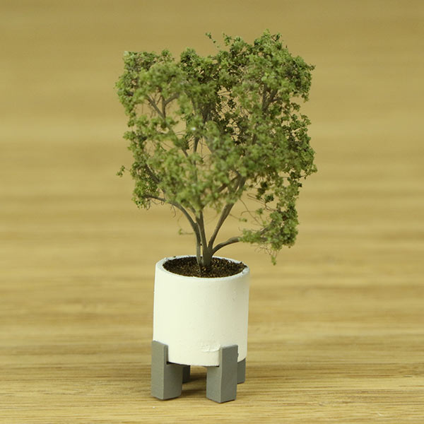 Weeping fig model tree