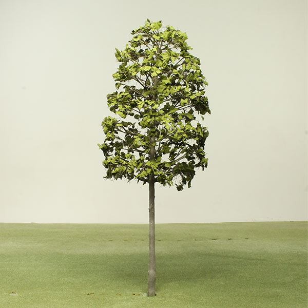 Indian laurel fig model tree