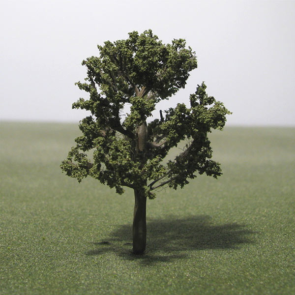 Raywood ash model tree