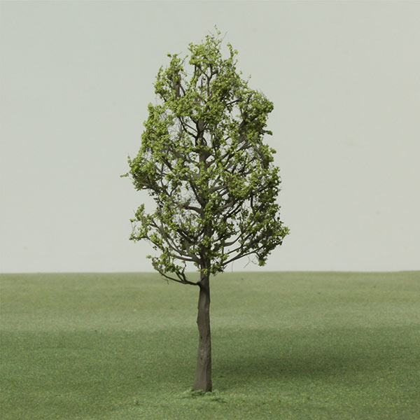 European ash model tree