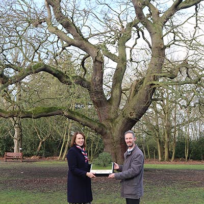 Gilwell Oak