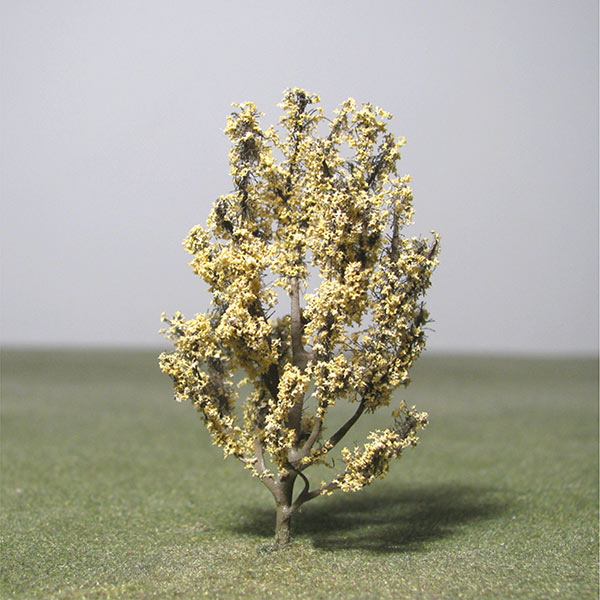 Model Maidenhair tree