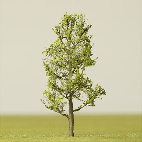 Maidenhair model tree