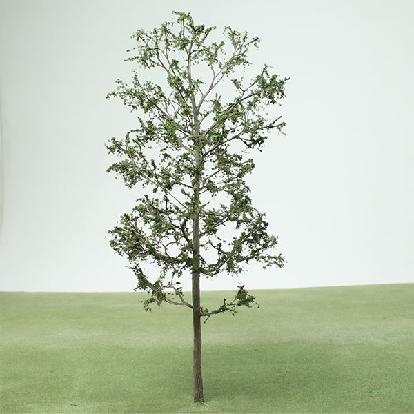 Honey locust model tree