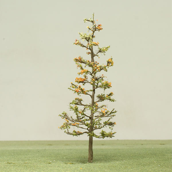 Southern silky oak model tree