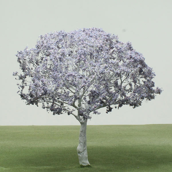 Jacaranda model tree