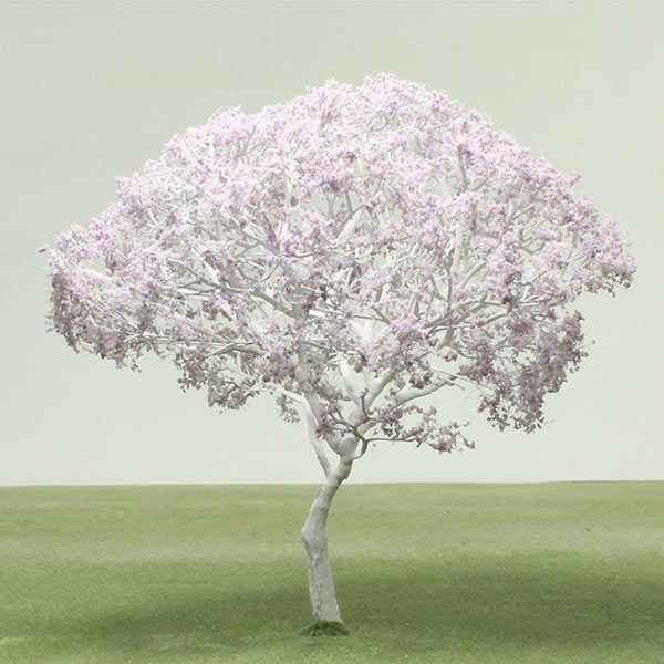 Jacaranda model tree