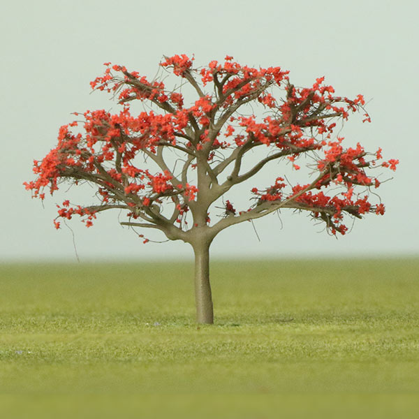 Jacaranda model tree