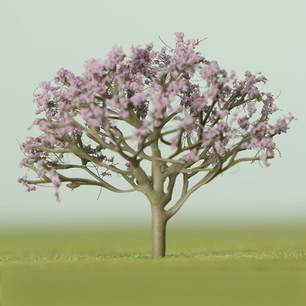 Jacaranda model tree