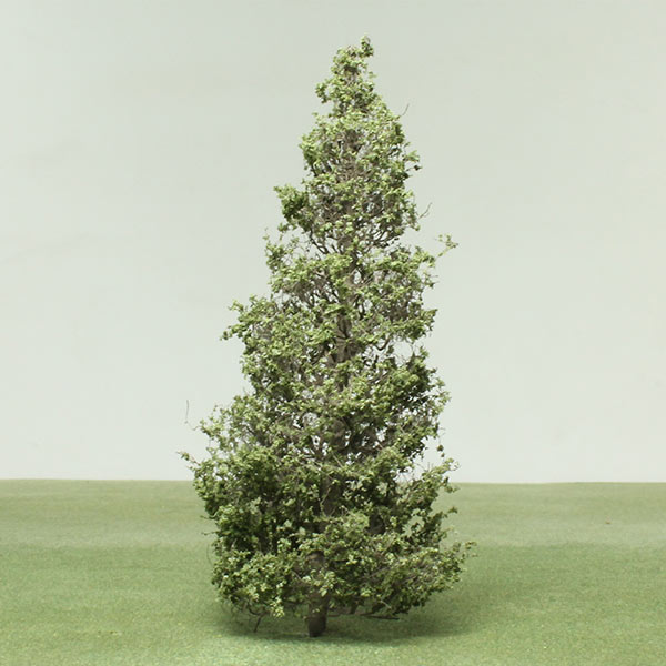 Juniper species model trees