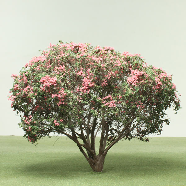 Crape myrtle  model tree