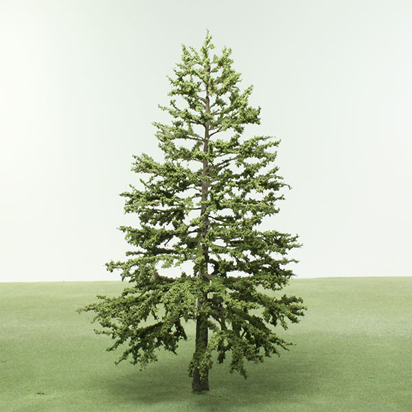 European larch model tree