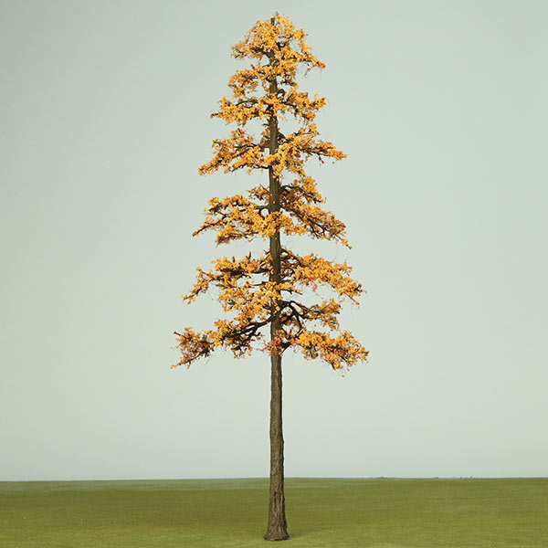 European larch model tree