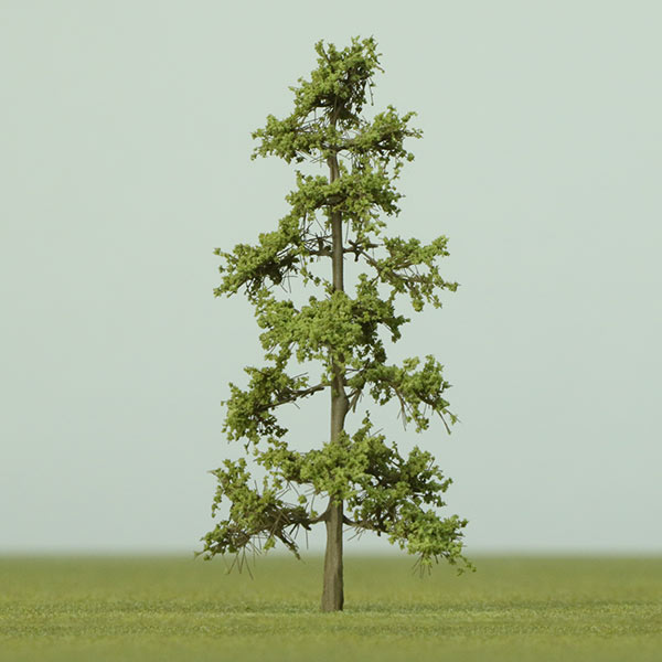 European larch model tree