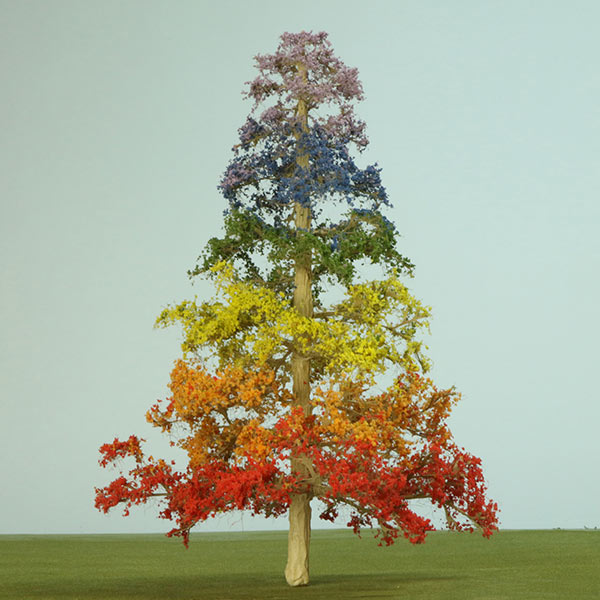 European larch model tree