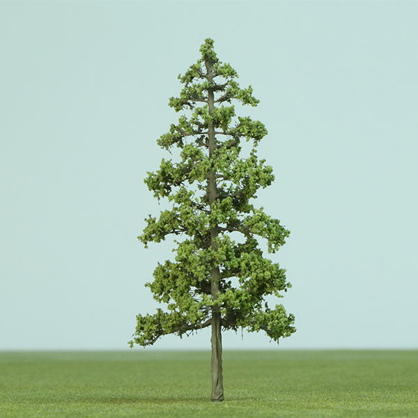 European larch model tree