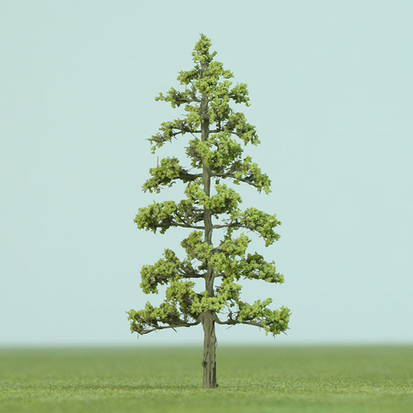 European larch model tree