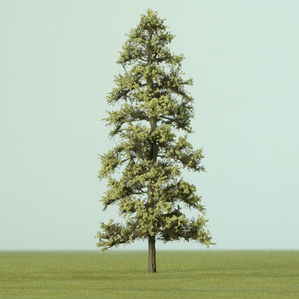 European larch model tree