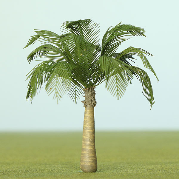 Chinese fan palm model tree