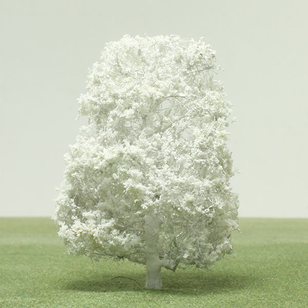 Magnolia model tree