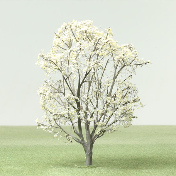 Magnolia model tree
