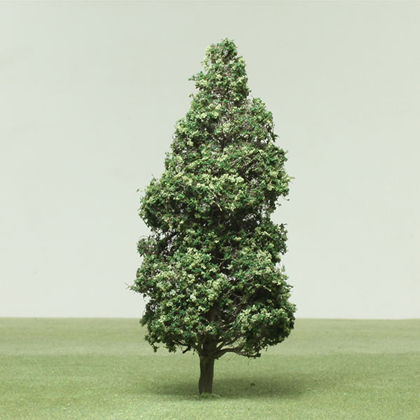 Southern magnolia bull bay model tree