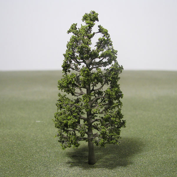 Southern magnolia model tree