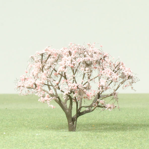 Magnolia 'Leonard Messel' model tree