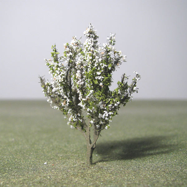 Crab apple model tree