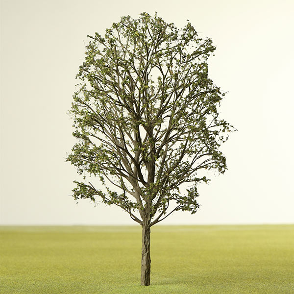 Crab apple model tree