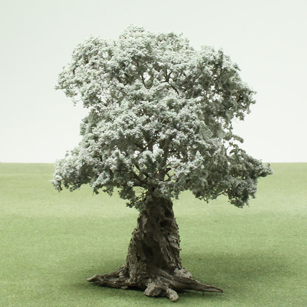 Olive model tree