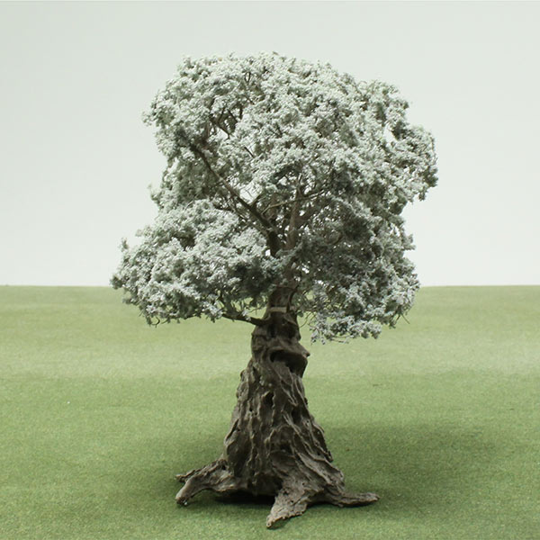Olive model tree