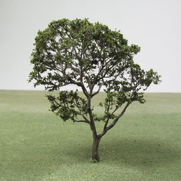 Olive model tree