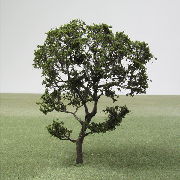 Olive model tree