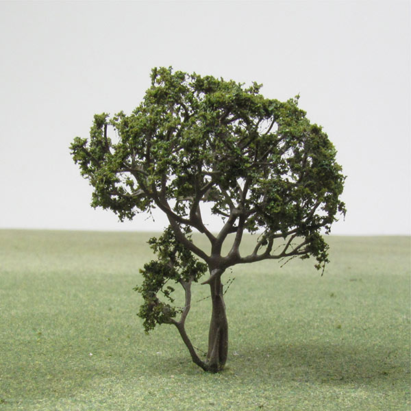 Olive model tree