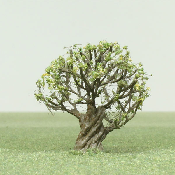 Olive model tree