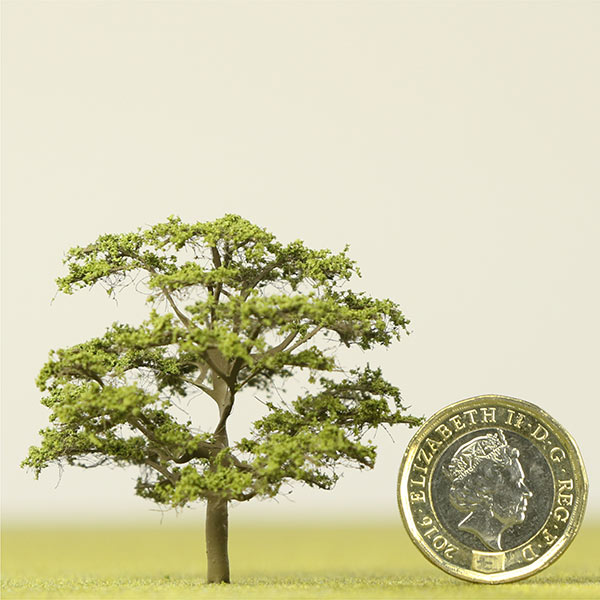 Model Ironwood Trees
