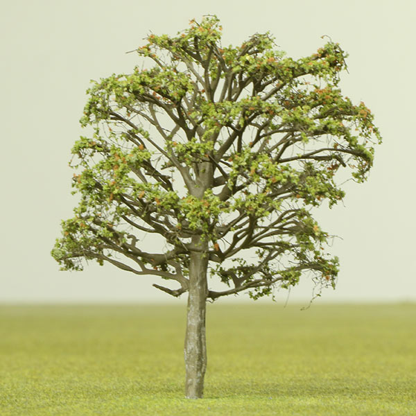 Persian ironwood model tree