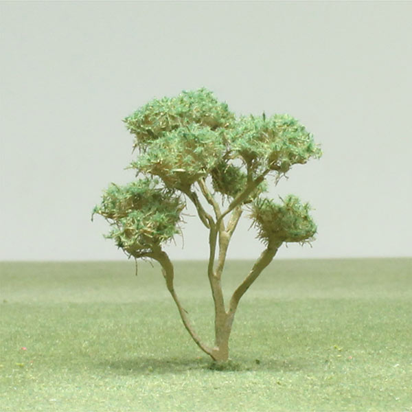 Olive model tree