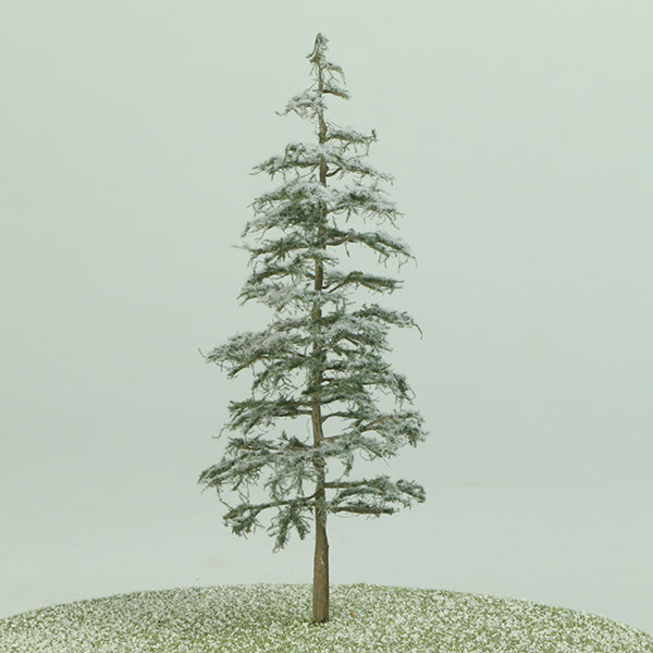 Norway spruce model tree