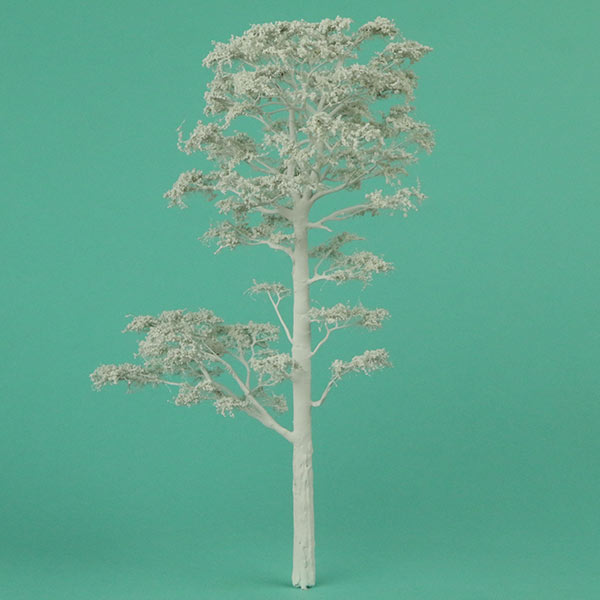 Scots pine model tree